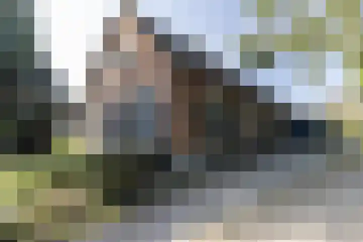 Eemnesserweg 4 Blaricum thumbnail 4