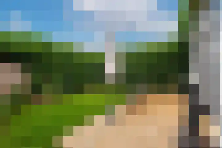 Eemnesserweg 41 Baarn thumbnail 17