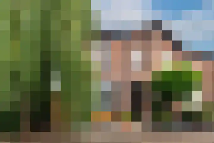 Eemnesserweg 41 Baarn thumbnail 32