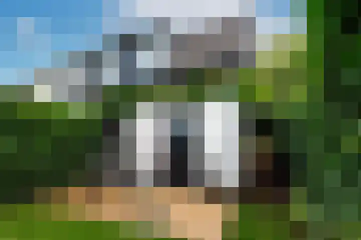 Eemnesserweg 41 Baarn thumbnail 4