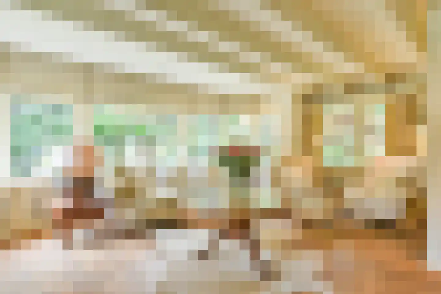 Eemnesserweg 43 Blaricum thumbnail 14