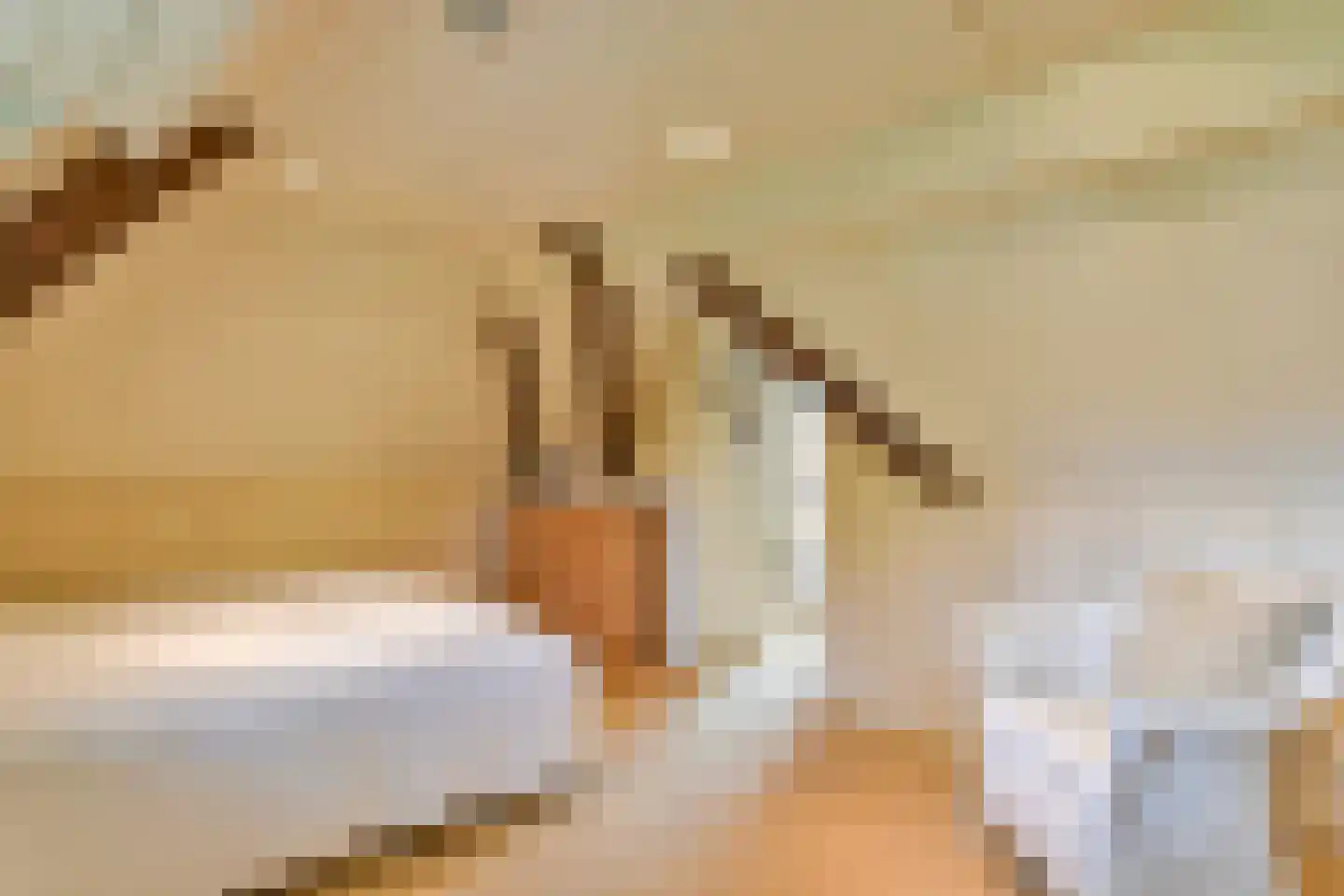 Eemnesserweg 43 Blaricum thumbnail 30
