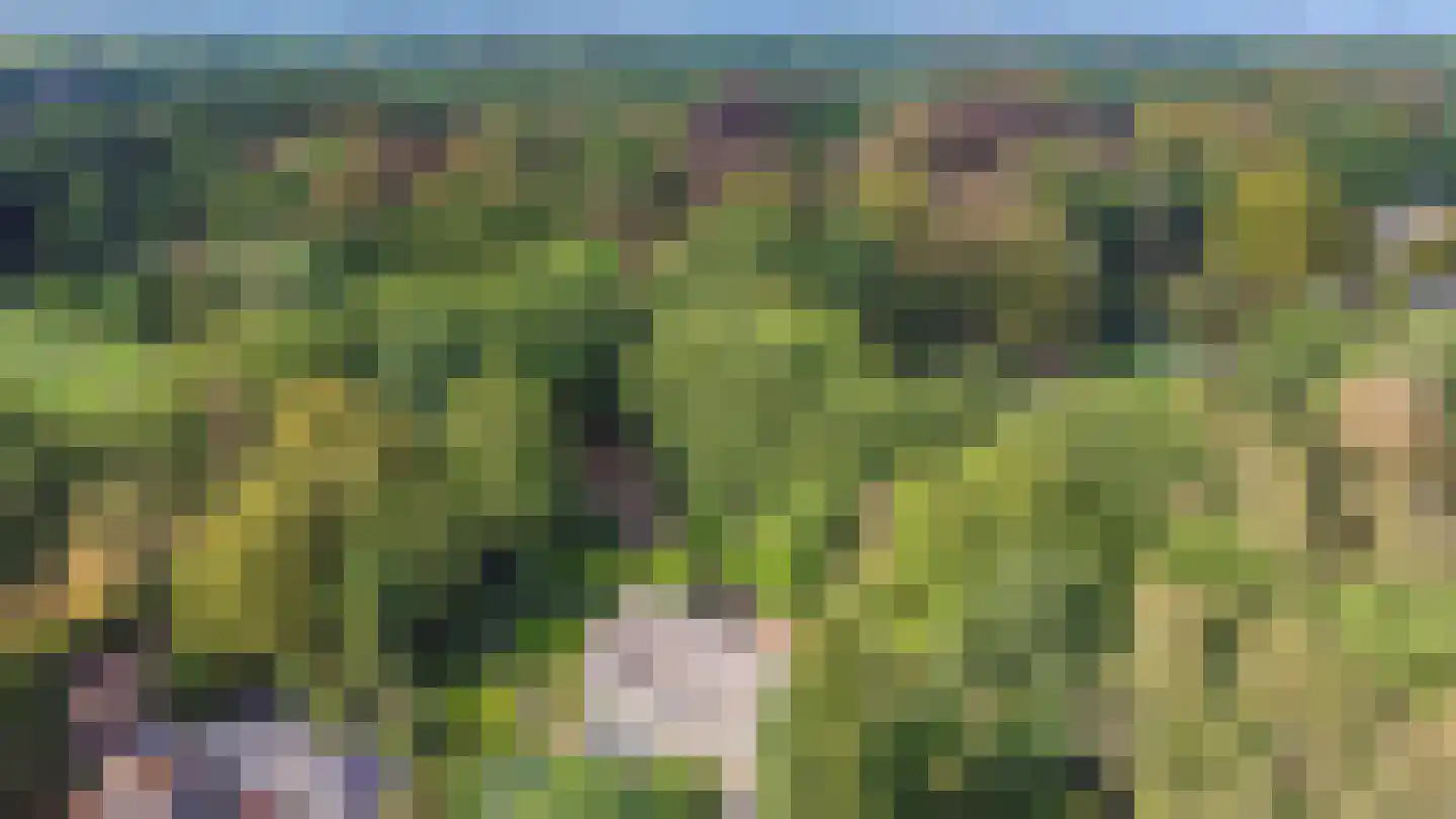 Eemnesserweg 43 Blaricum thumbnail 39