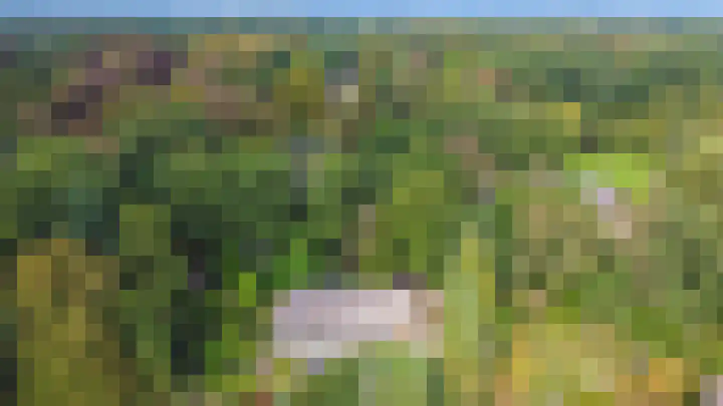 Eemnesserweg 43 Blaricum thumbnail 40