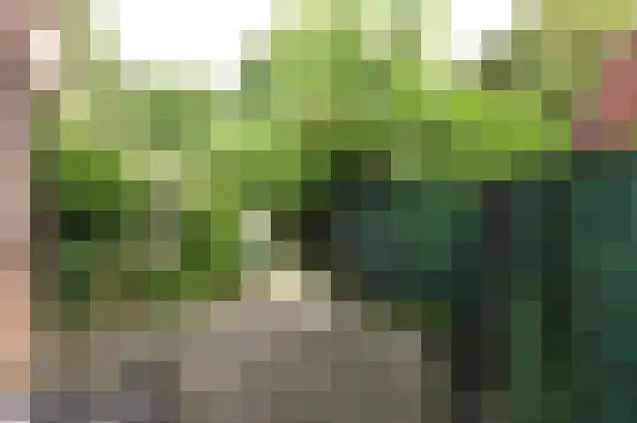 Eemnesserweg 44 Baarn thumbnail 12