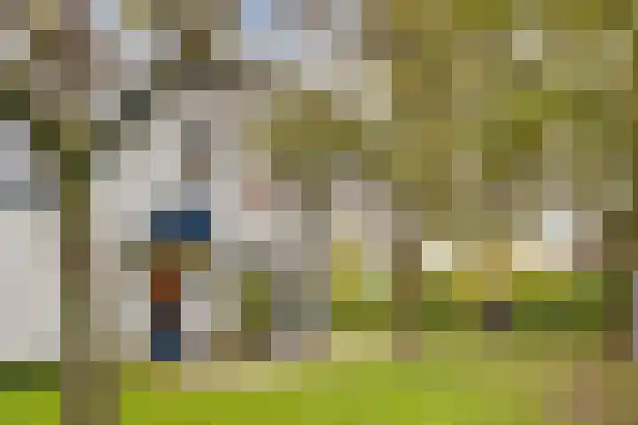 Eemnesserweg 63 Baarn thumbnail 41
