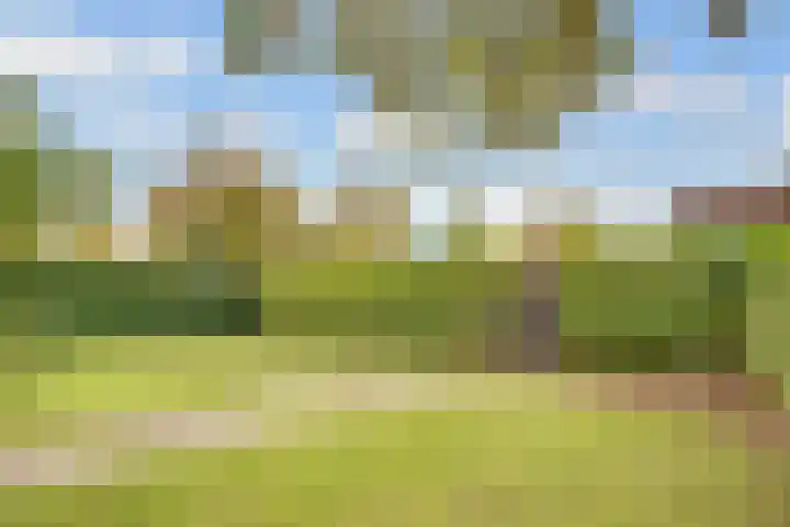 Eemnesserweg 63 Baarn thumbnail 42
