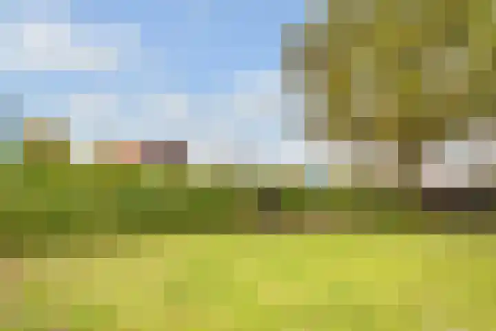 Eemnesserweg 63 Baarn thumbnail 43