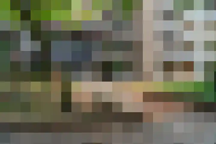 Eemnesserweg 7 A 20 Hilversum thumbnail 26
