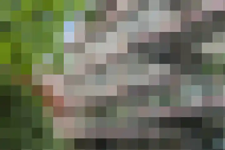 Eemnesserweg 7 A 20 Hilversum thumbnail 31