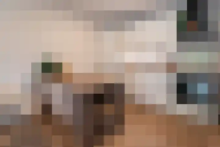Eemnesserweg 7 A 20 Hilversum thumbnail 7