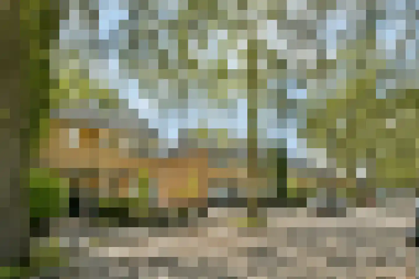 Eemnesserweg 80 Hilversum thumbnail 25