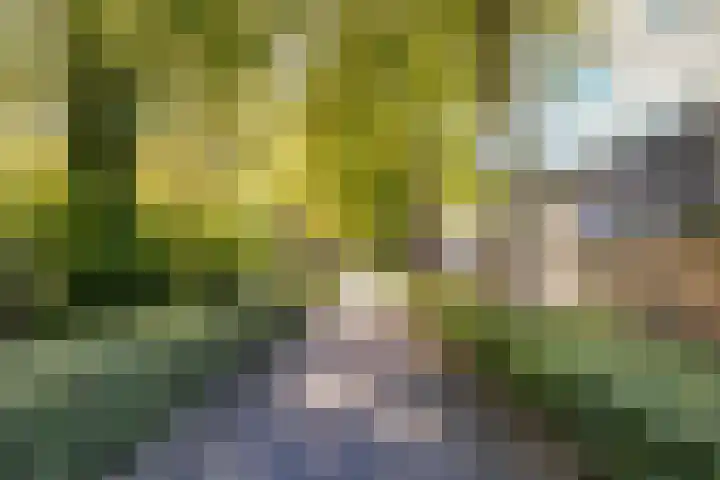 Eemplein 46 Almere thumbnail 35