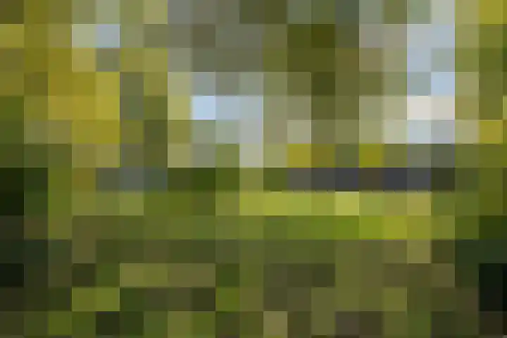 Eemplein 46 Almere thumbnail 36