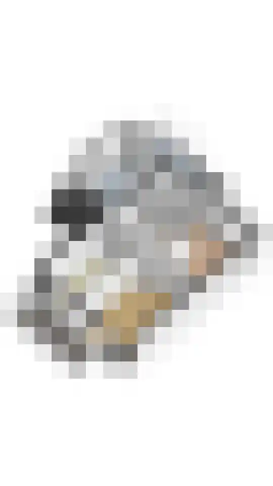Eems 1 Uithoorn thumbnail 44