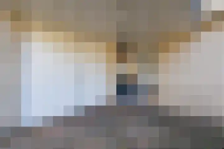 Eems 17 Hoogeveen thumbnail 43