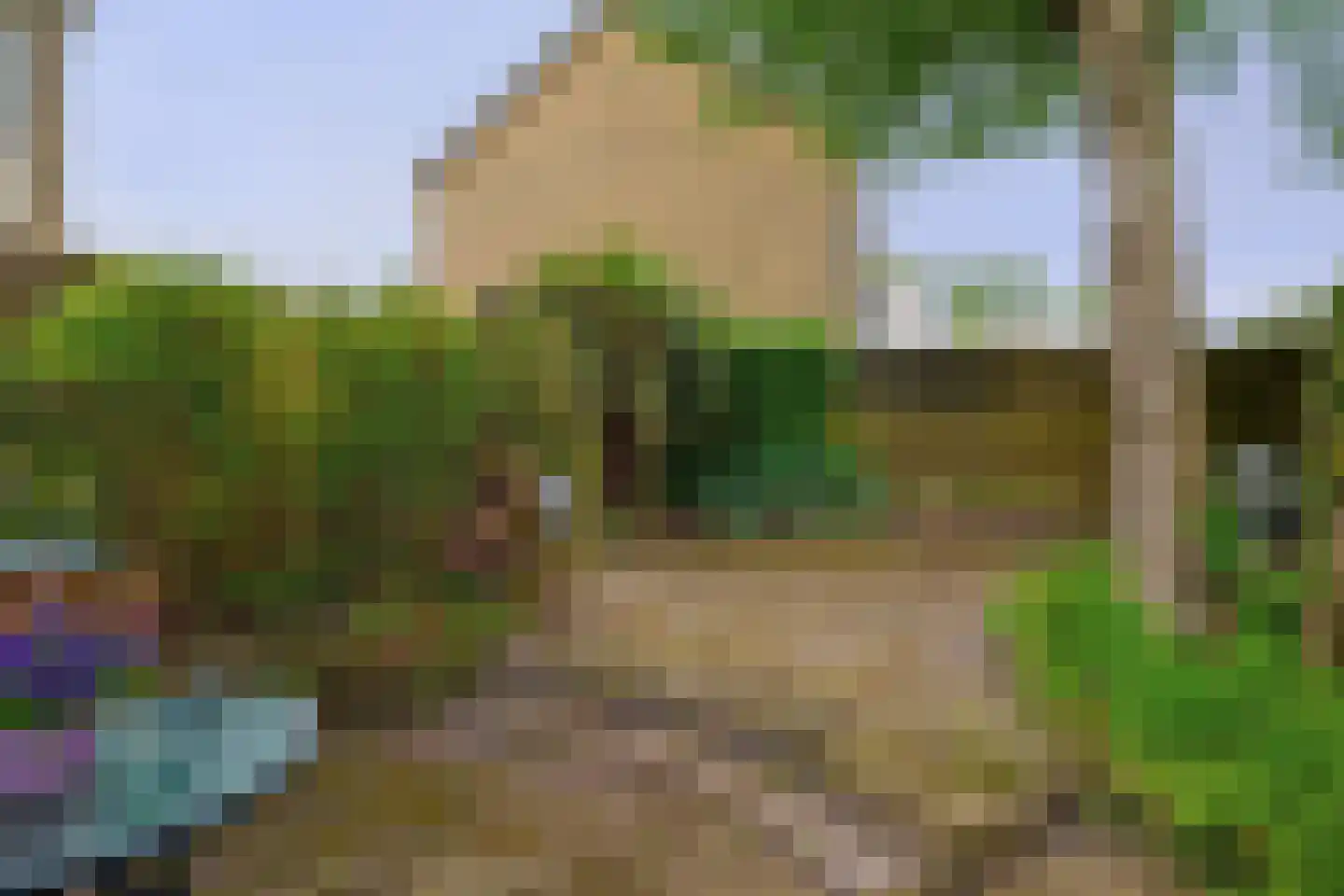 Eems 29 Drachten thumbnail 31