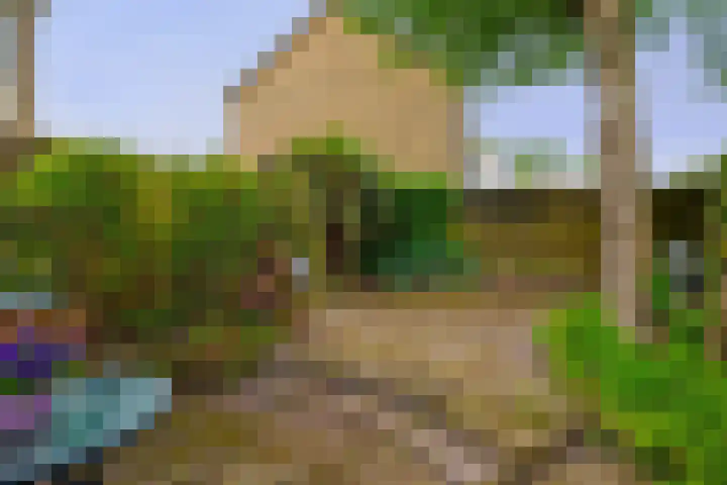 Eems 29 Drachten thumbnail 31