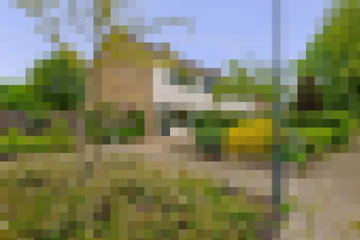 Eems 29 Drachten thumbnail 34