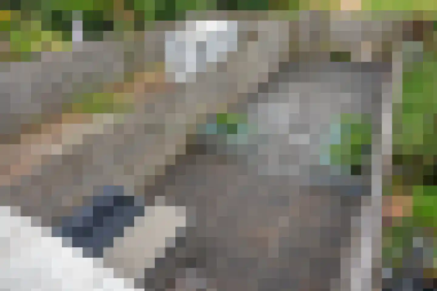 Eems 43 Veendam thumbnail 22