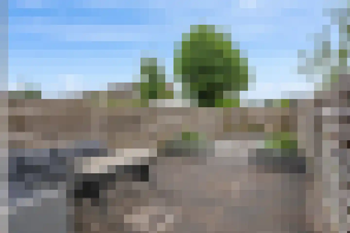 Eems 43 Veendam thumbnail 35