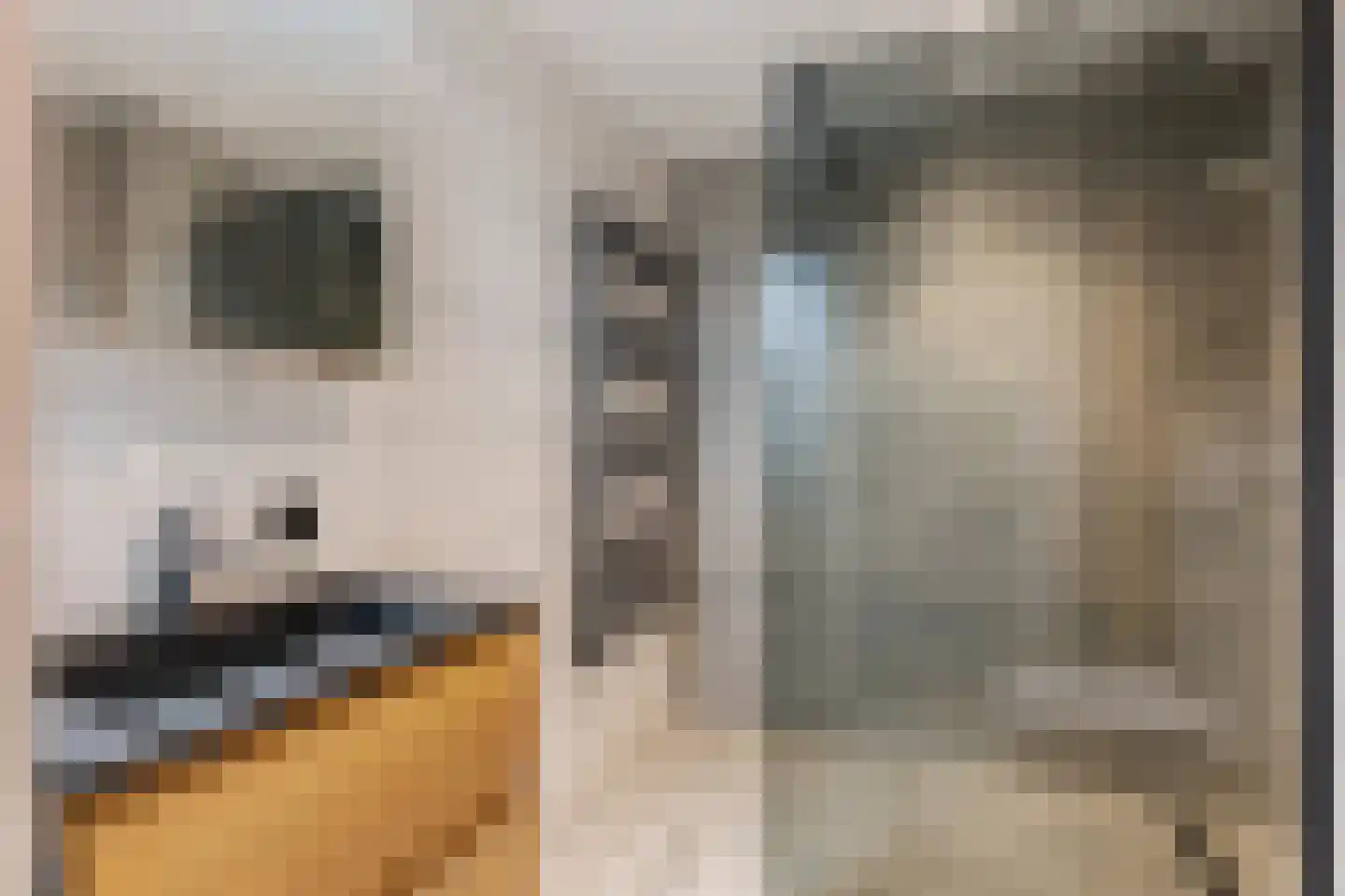 Eems 43 Veendam thumbnail 4