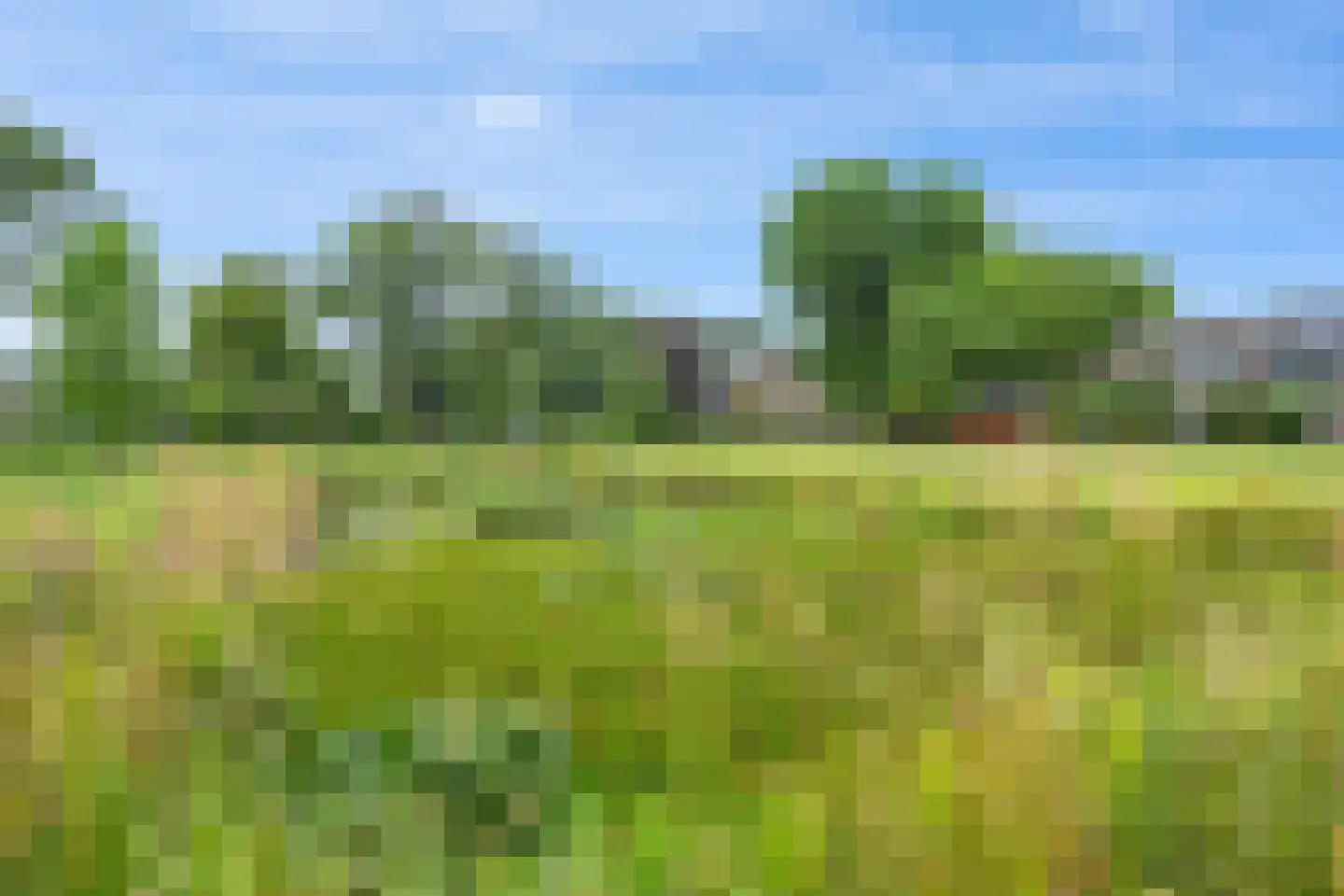 Eems 43 Veendam thumbnail 48