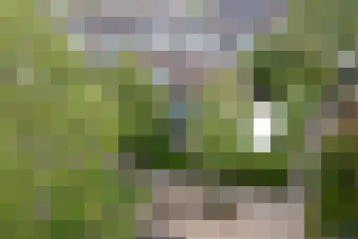 Eems 57 in Drachten