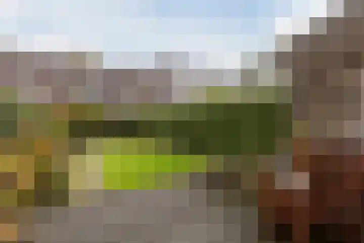 Eems 57 Uithoorn thumbnail 35