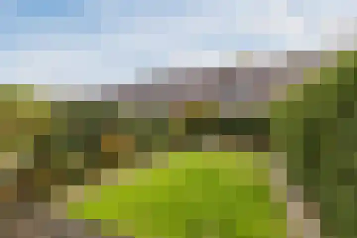 Eems 57 Uithoorn thumbnail 36