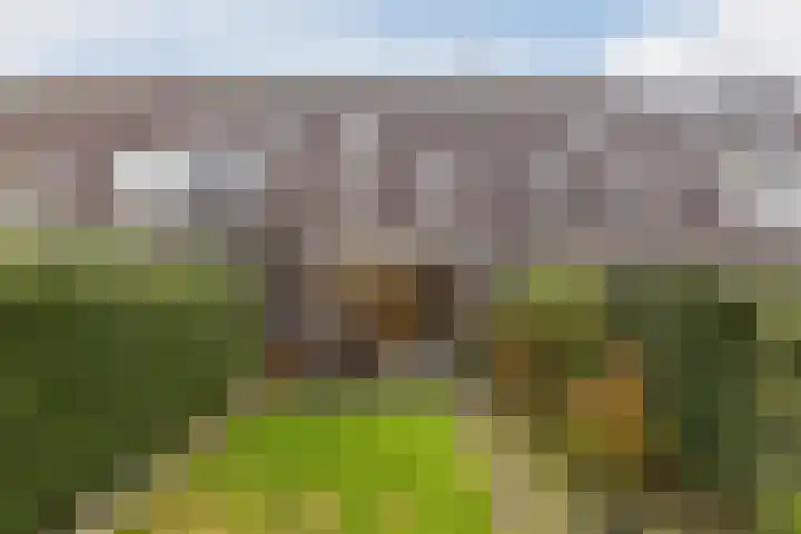 Eems 57 Uithoorn thumbnail 38
