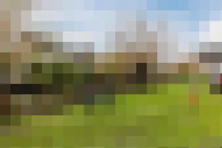 Eems 57 Uithoorn thumbnail 39