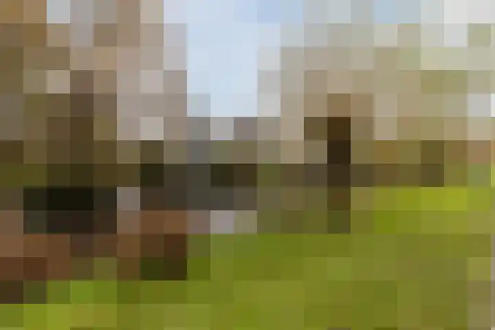 Eems 57 Uithoorn thumbnail 40