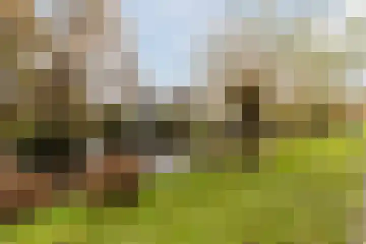 Eems 57 Uithoorn thumbnail 43