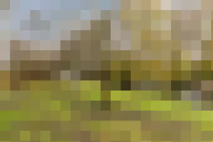 Eems 57 Uithoorn thumbnail 44