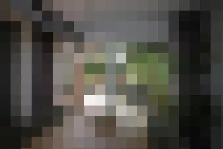 Eems 89 Uithoorn thumbnail 15