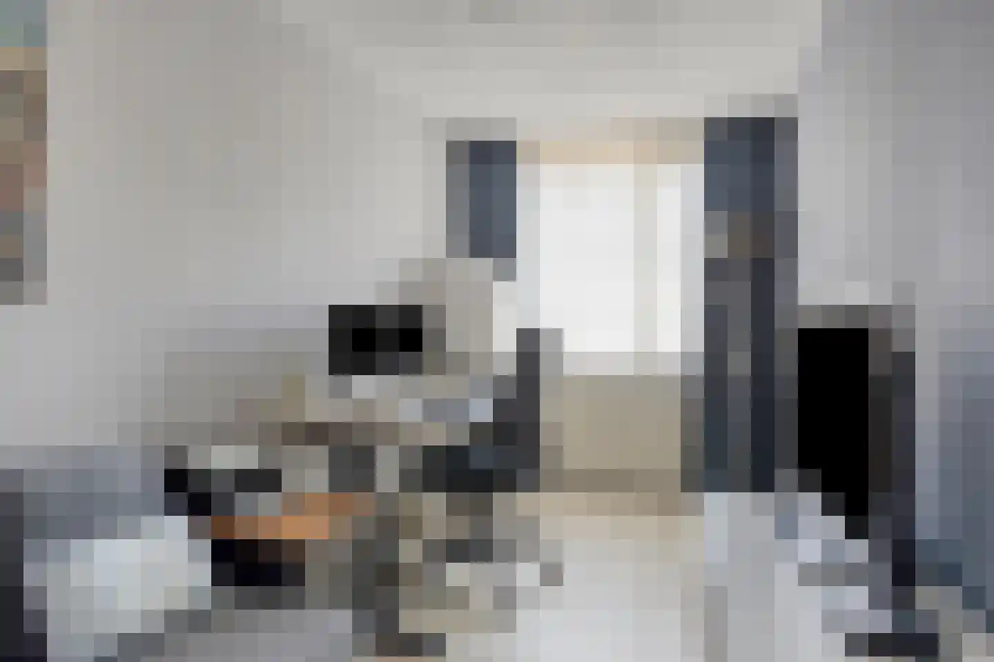 Eemshof 23 Veghel thumbnail 14