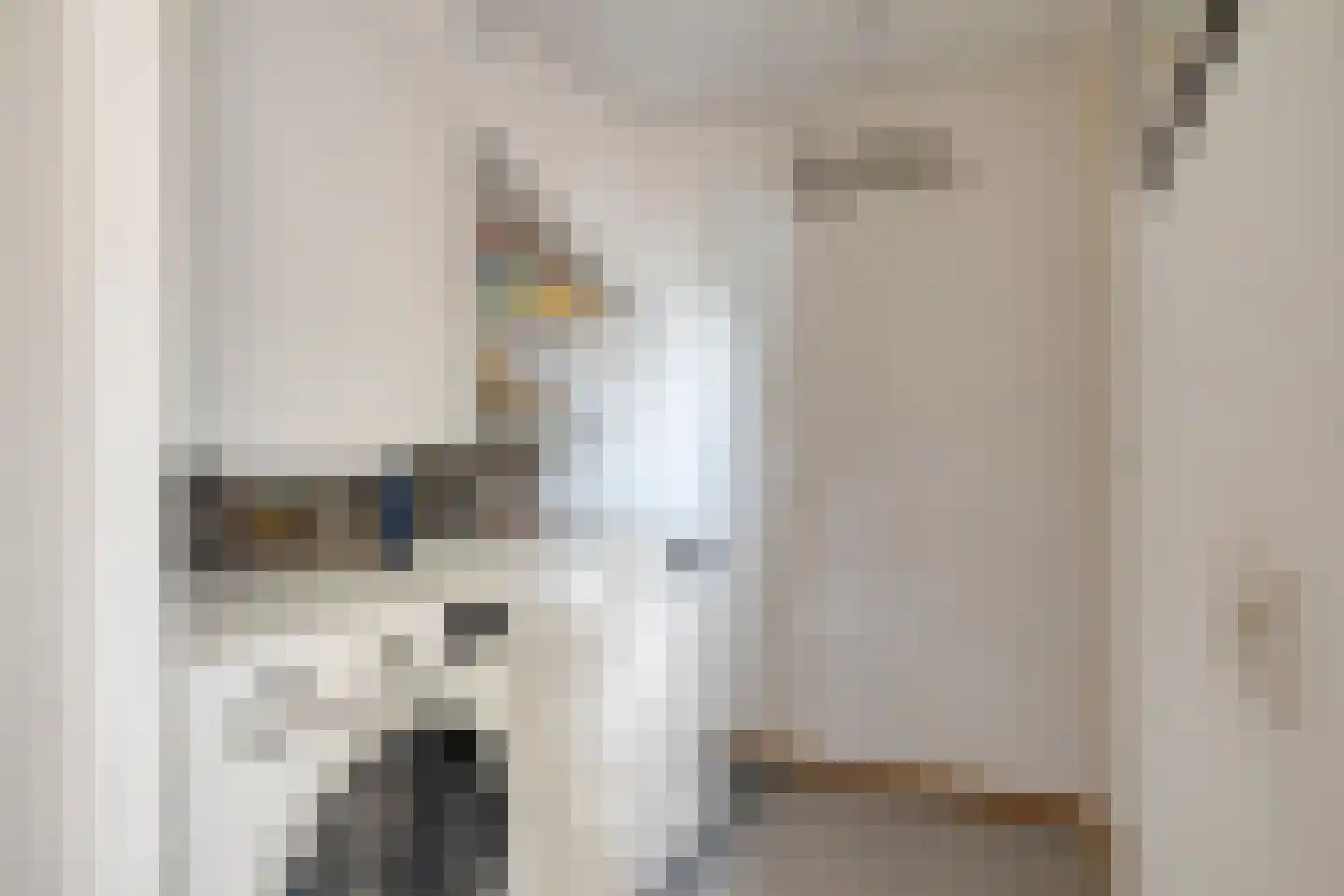 Eemshof 23 Veghel thumbnail 17