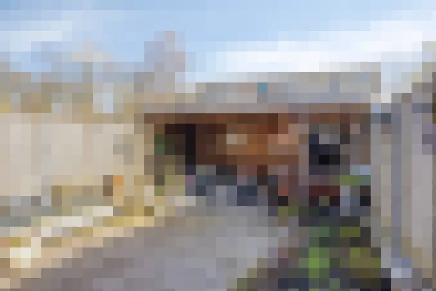 Eemshof 23 Veghel thumbnail 21