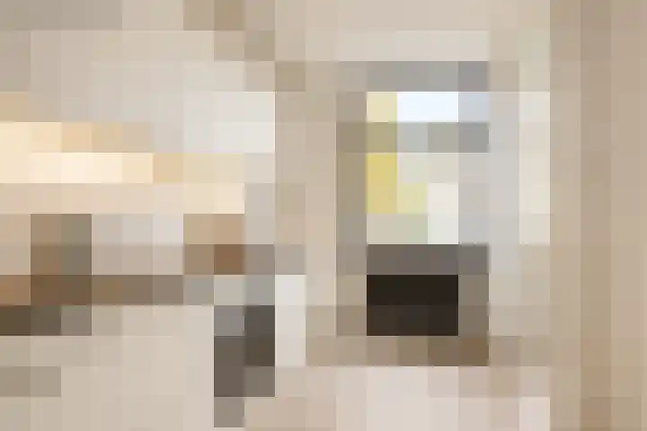 Eemshof 3 Veghel thumbnail 10