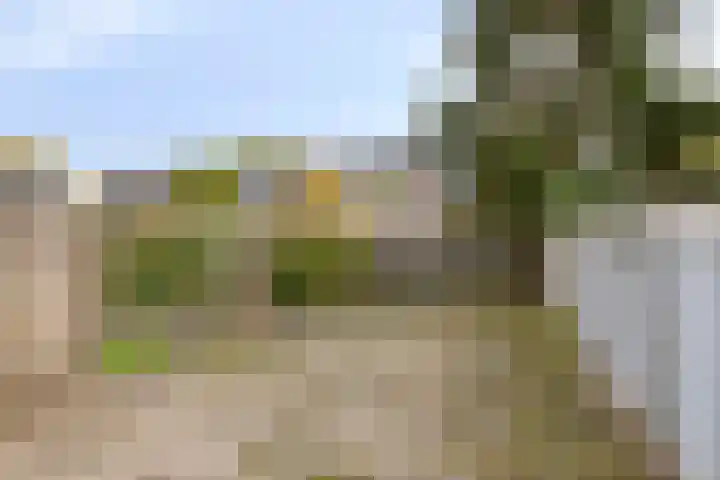 Eemshof 3 Veghel thumbnail 22