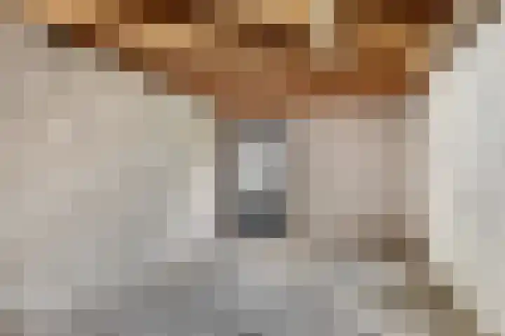 Eemshof 3 Veghel thumbnail 25