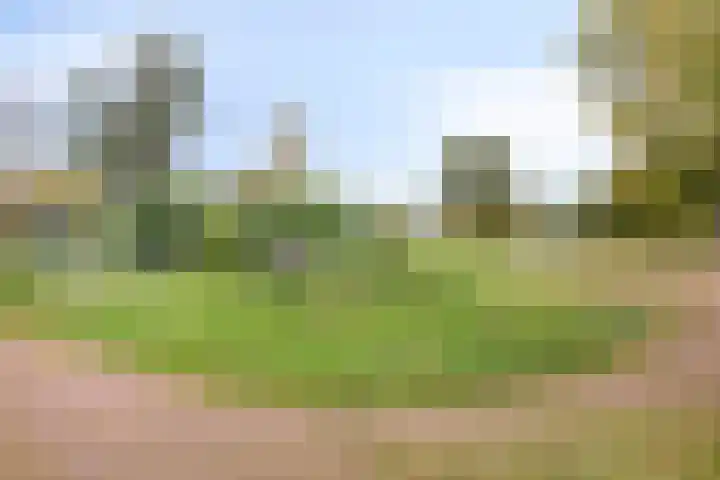 Eemshof 3 Veghel thumbnail 26