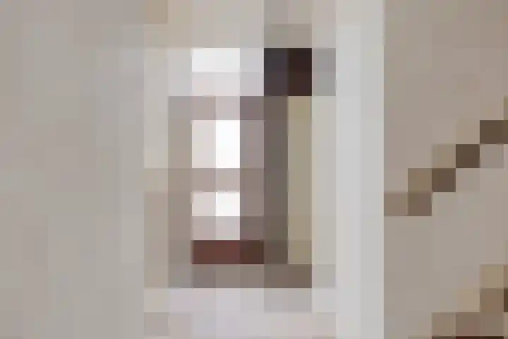 Eemshof 3 Veghel foto 3
