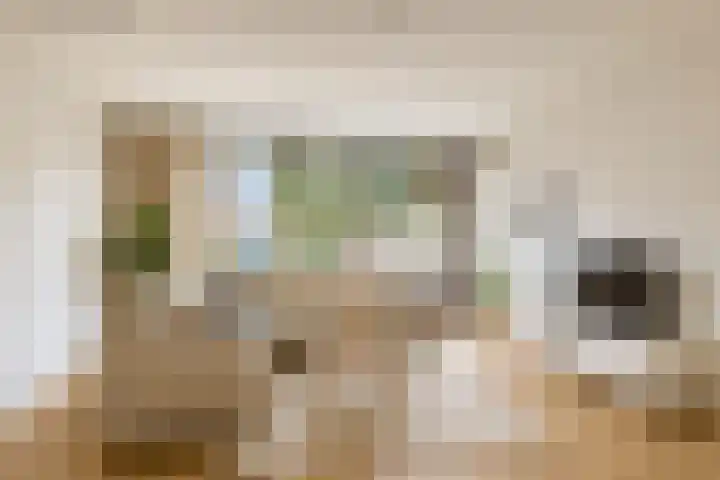 Eemshof 3 Veghel thumbnail 6