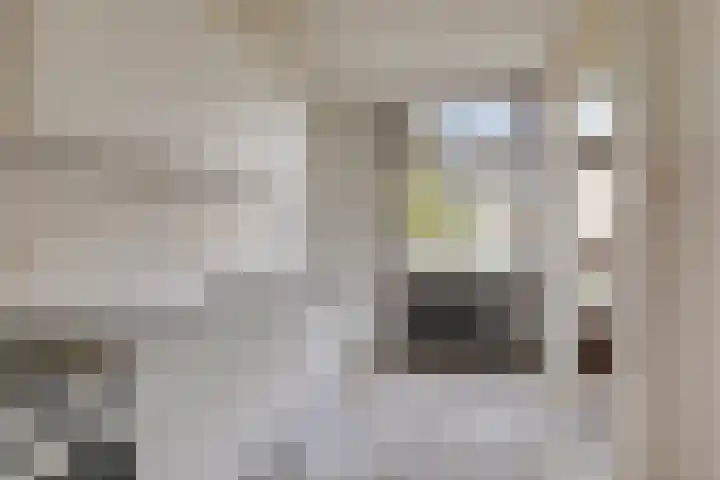 Eemshof 3 Veghel thumbnail 9