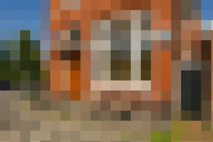 Eemskanaal 2 Groningen thumbnail 27