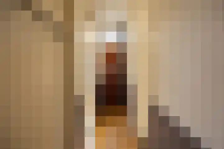 Eemskanaal 2 Groningen thumbnail 6