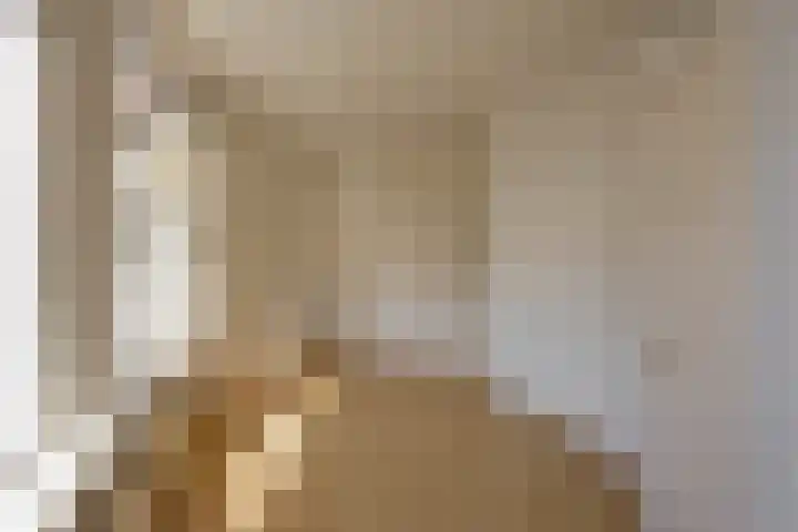 Eemskanaal 2 Groningen thumbnail 8