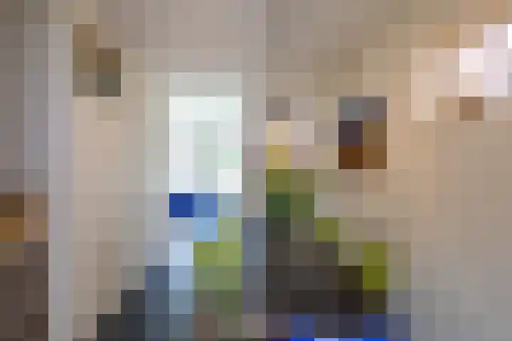 Eemskanaal 4 Groningen thumbnail 11